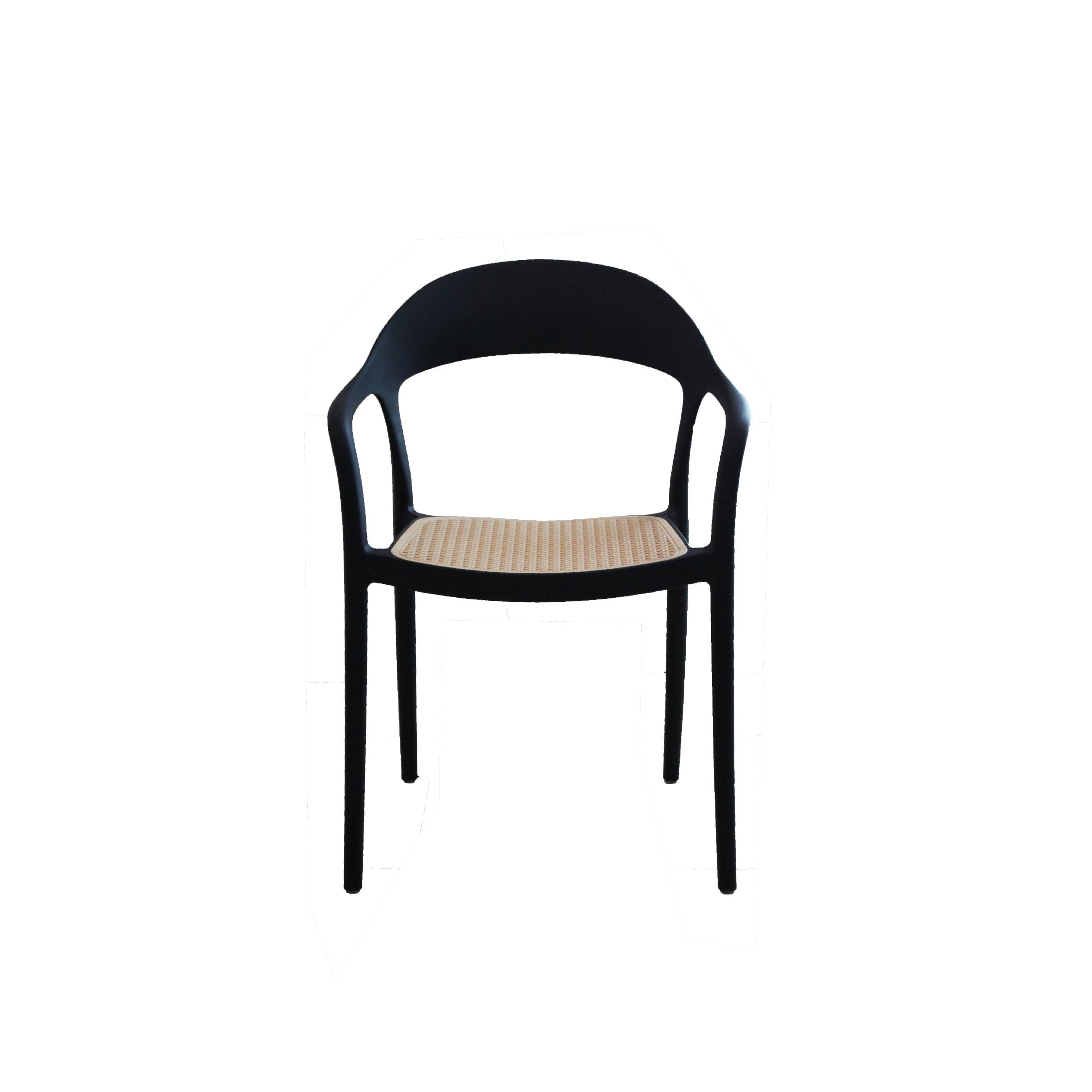 PATI Chair 517 with Arm