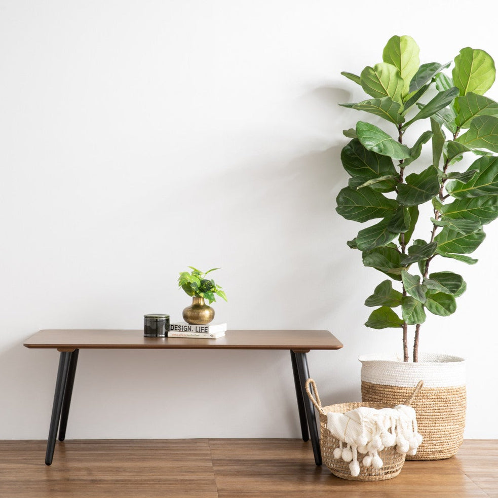 Wooden table with decorative items and a potted plant against a white wall.