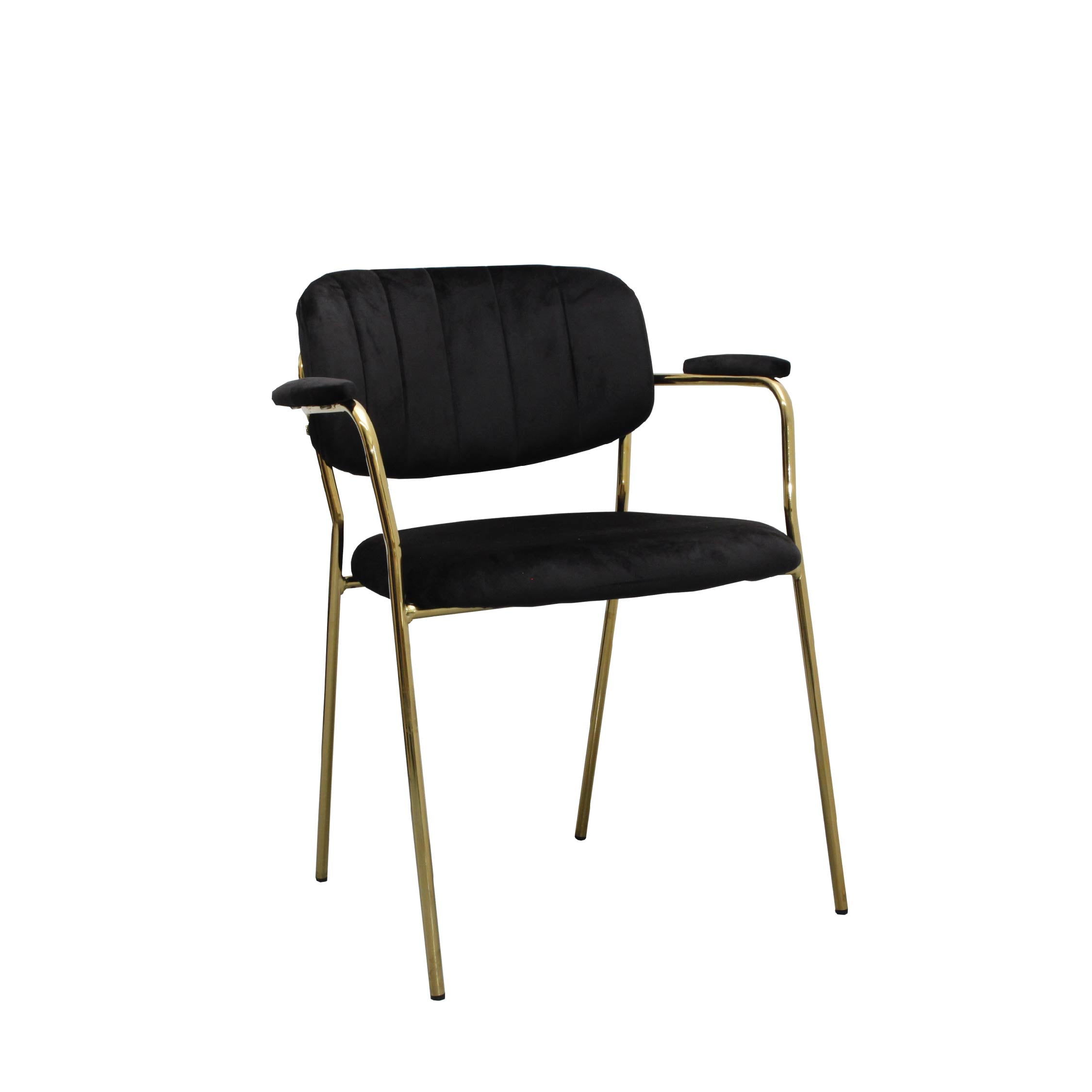 ANSA Chair