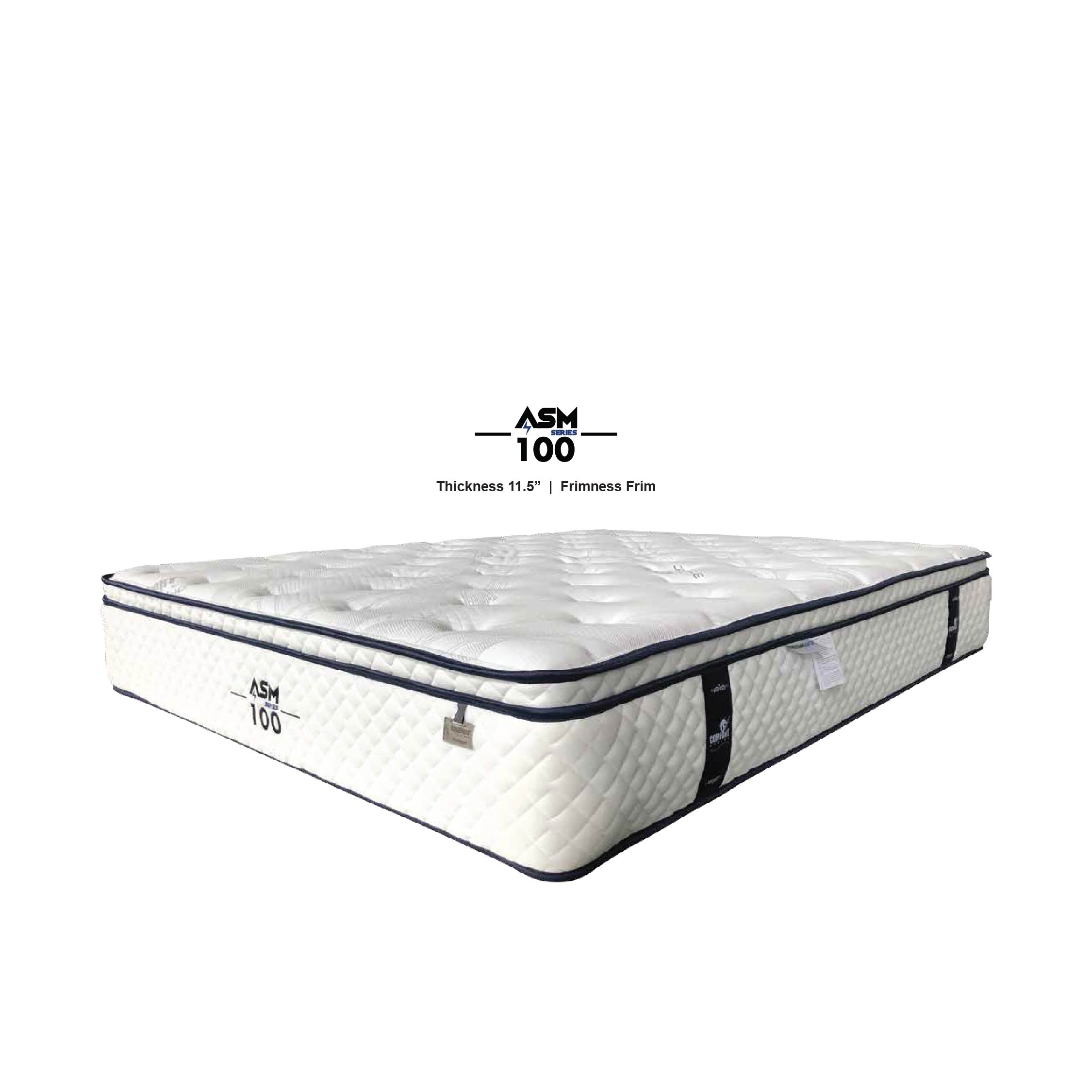 ASM Anti Static Mattress 100 11.5"