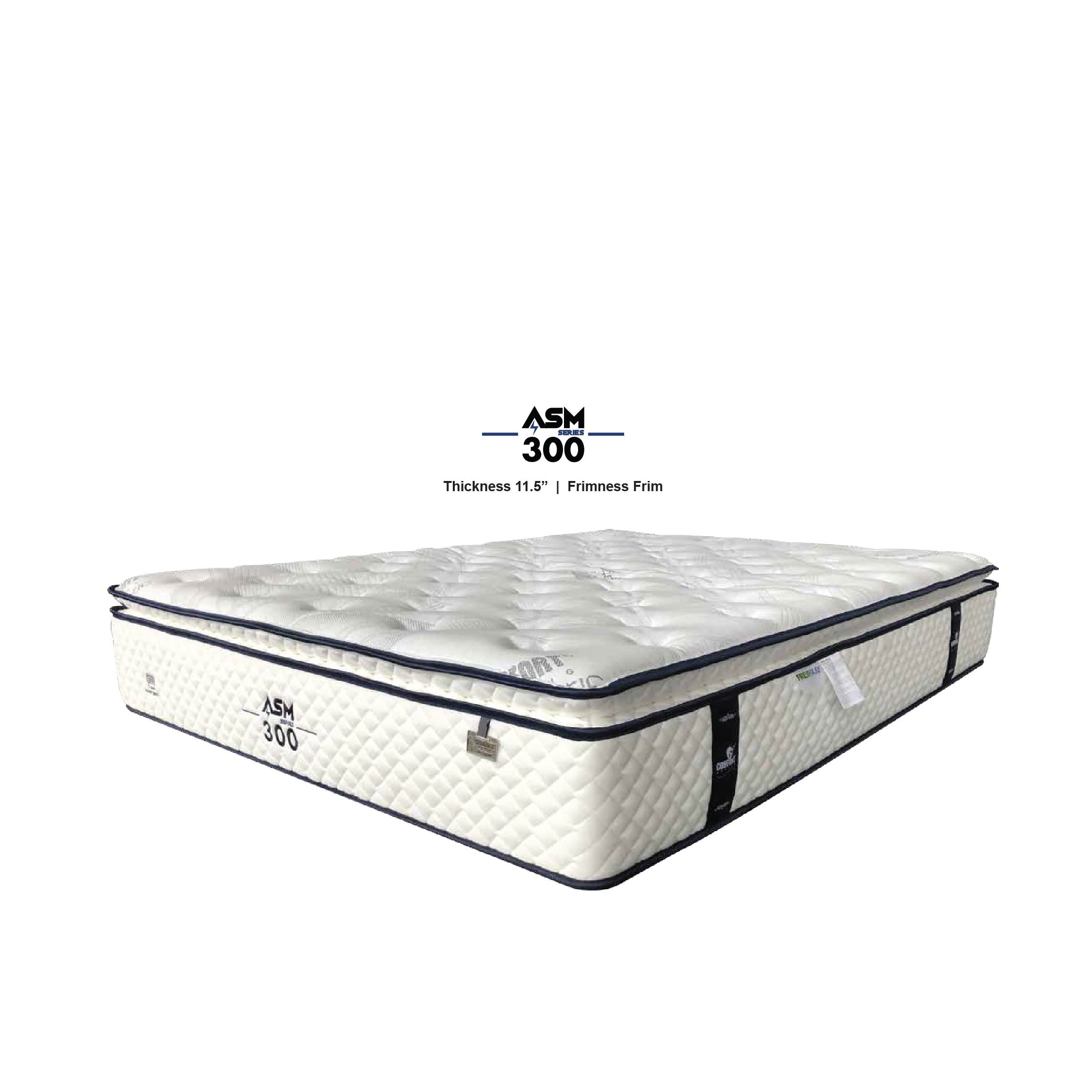 ASM Anti Static Mattress 300 11.5"