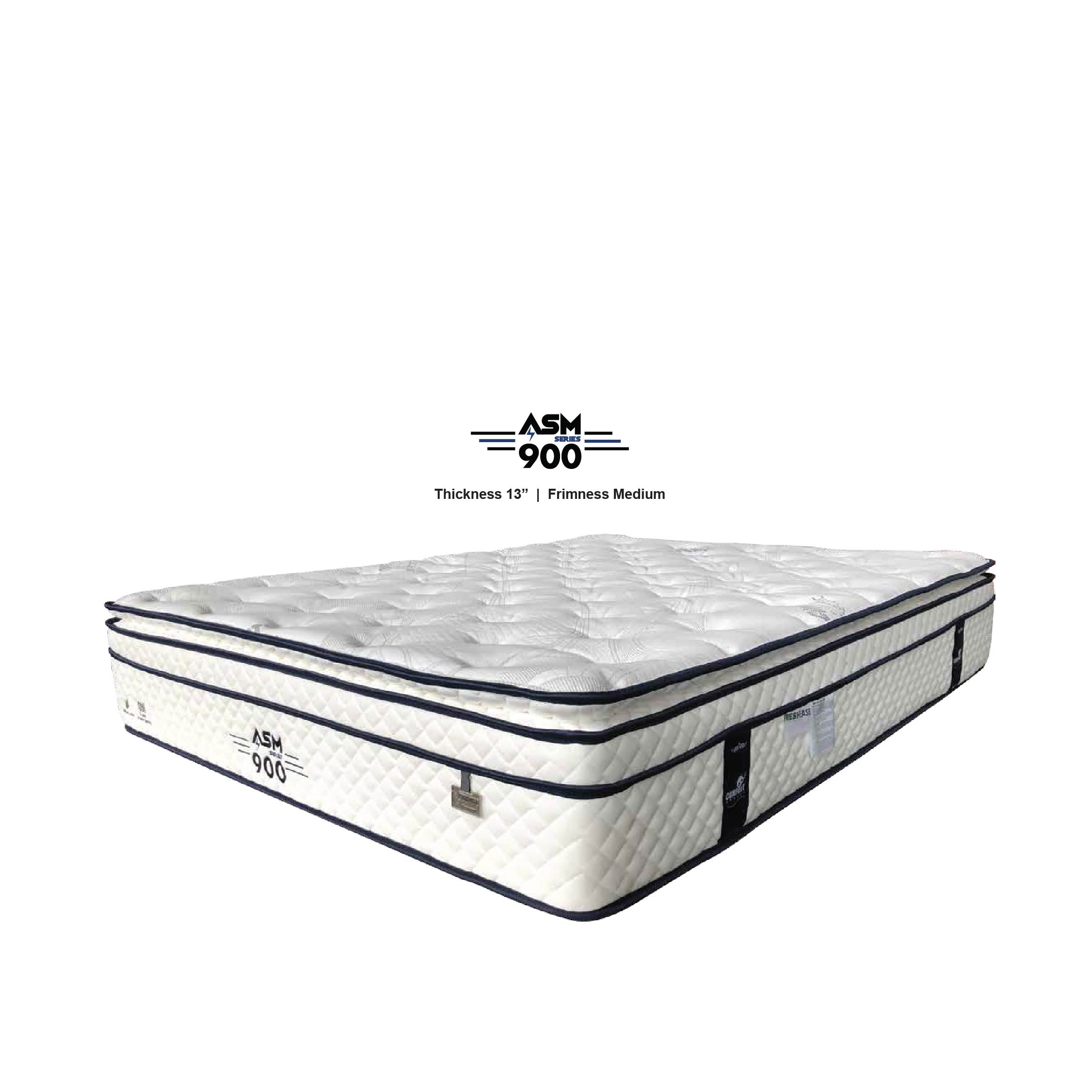 ASM Anti Static Mattress 900 13"