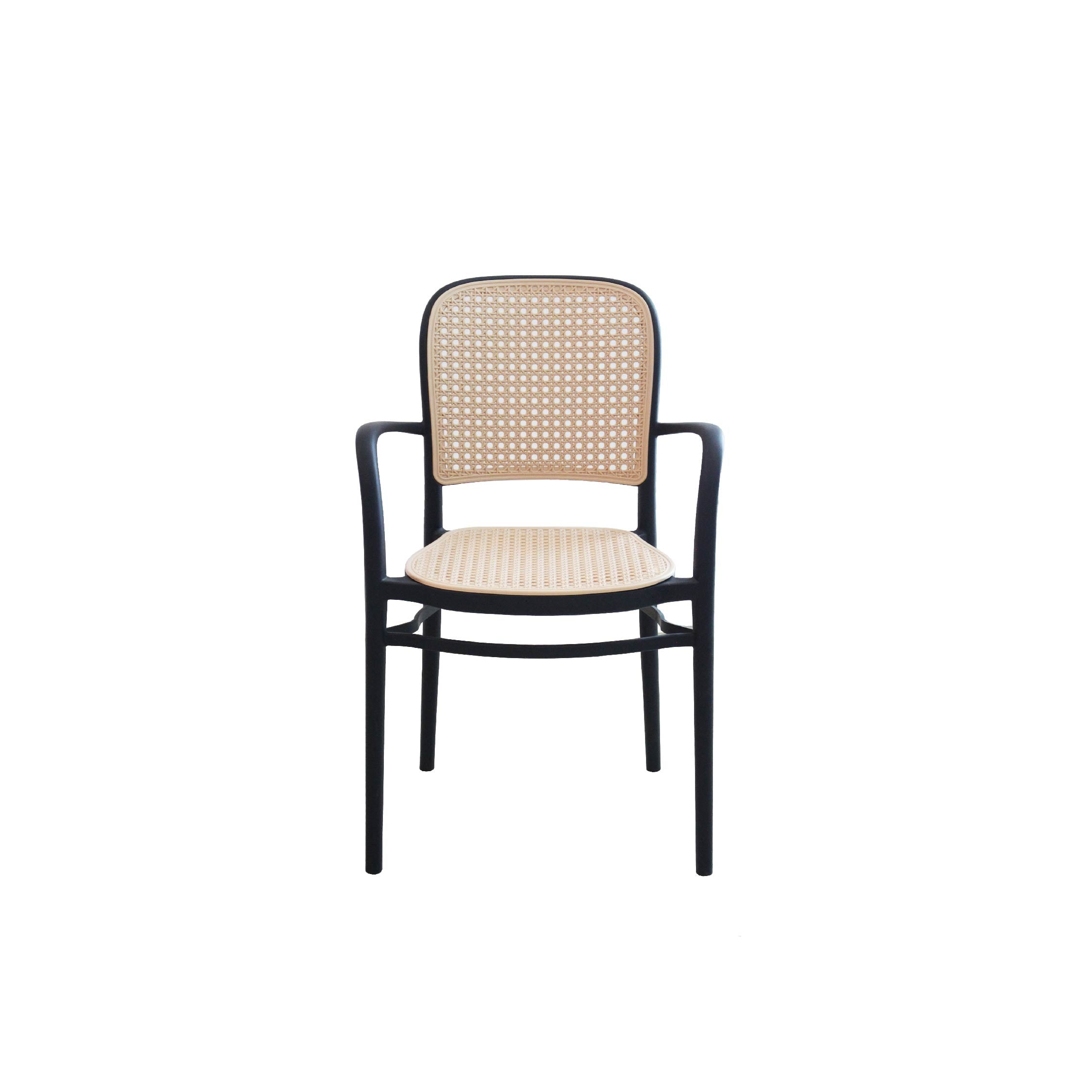 PATI Chair 174 with Arm