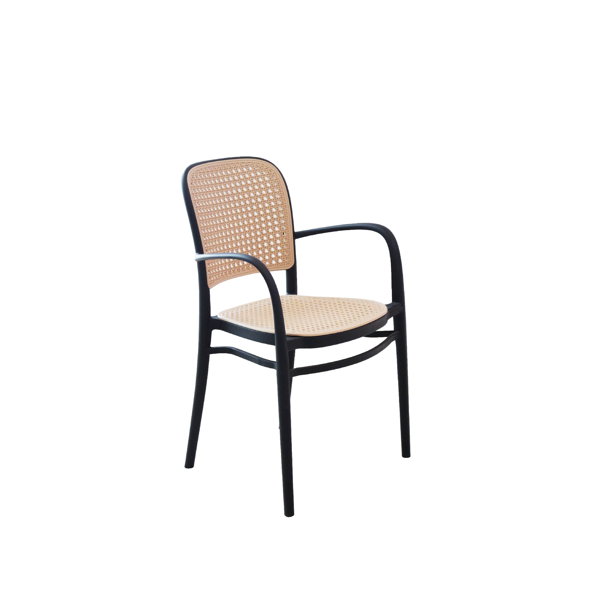 PATI Chair 174 with Arm