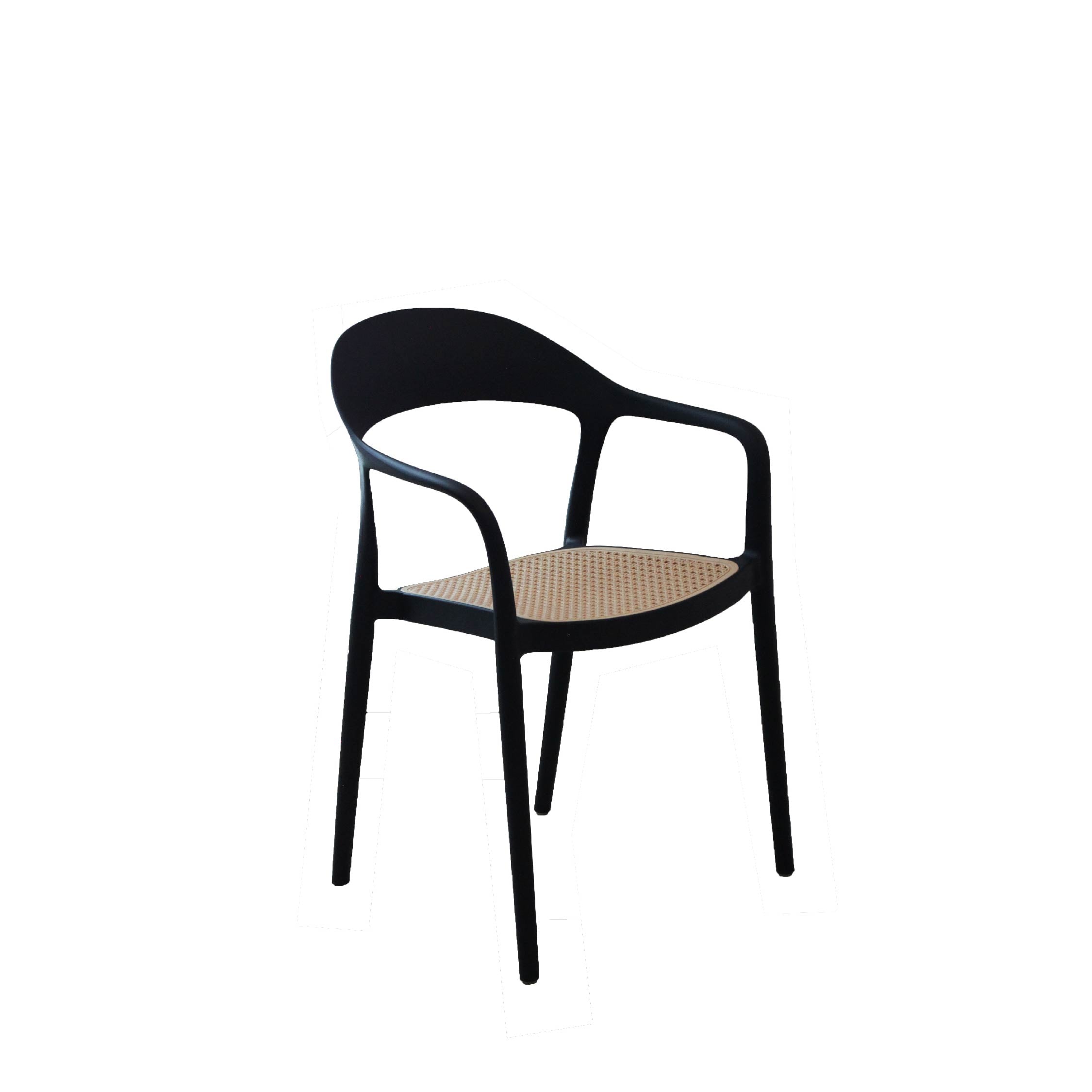 PATI Chair 517 with Arm