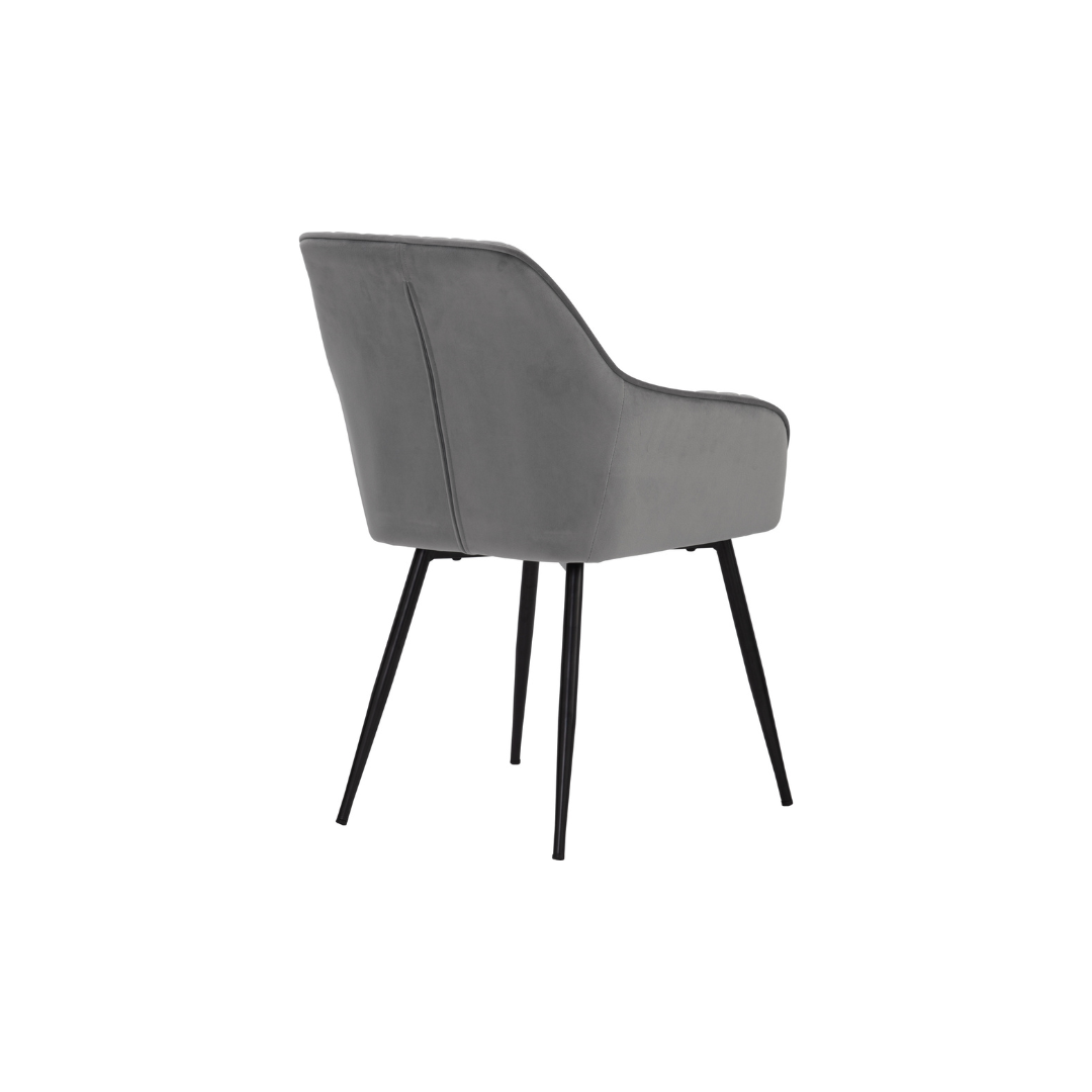 PLANA Dining Chair (2 pcs.)