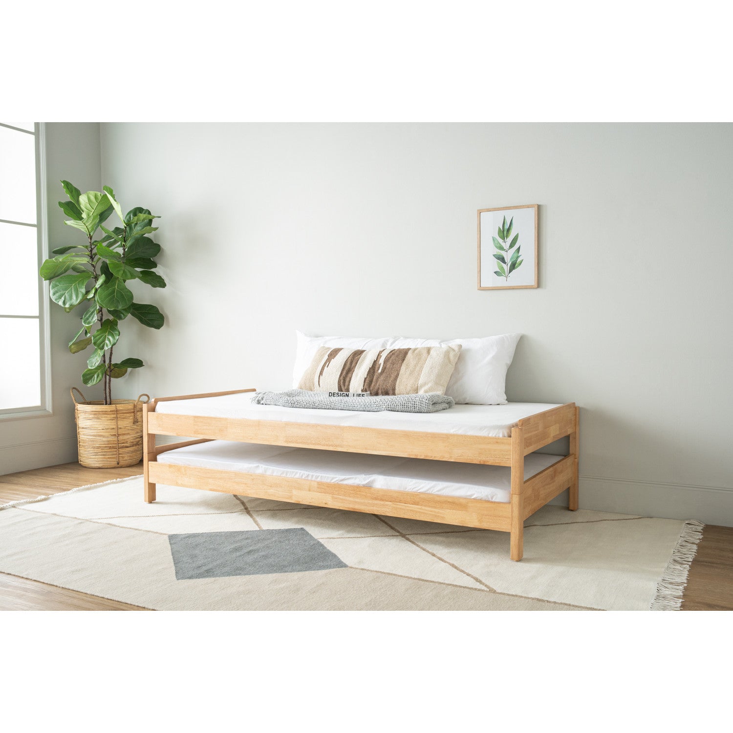 BASIC Single Bed