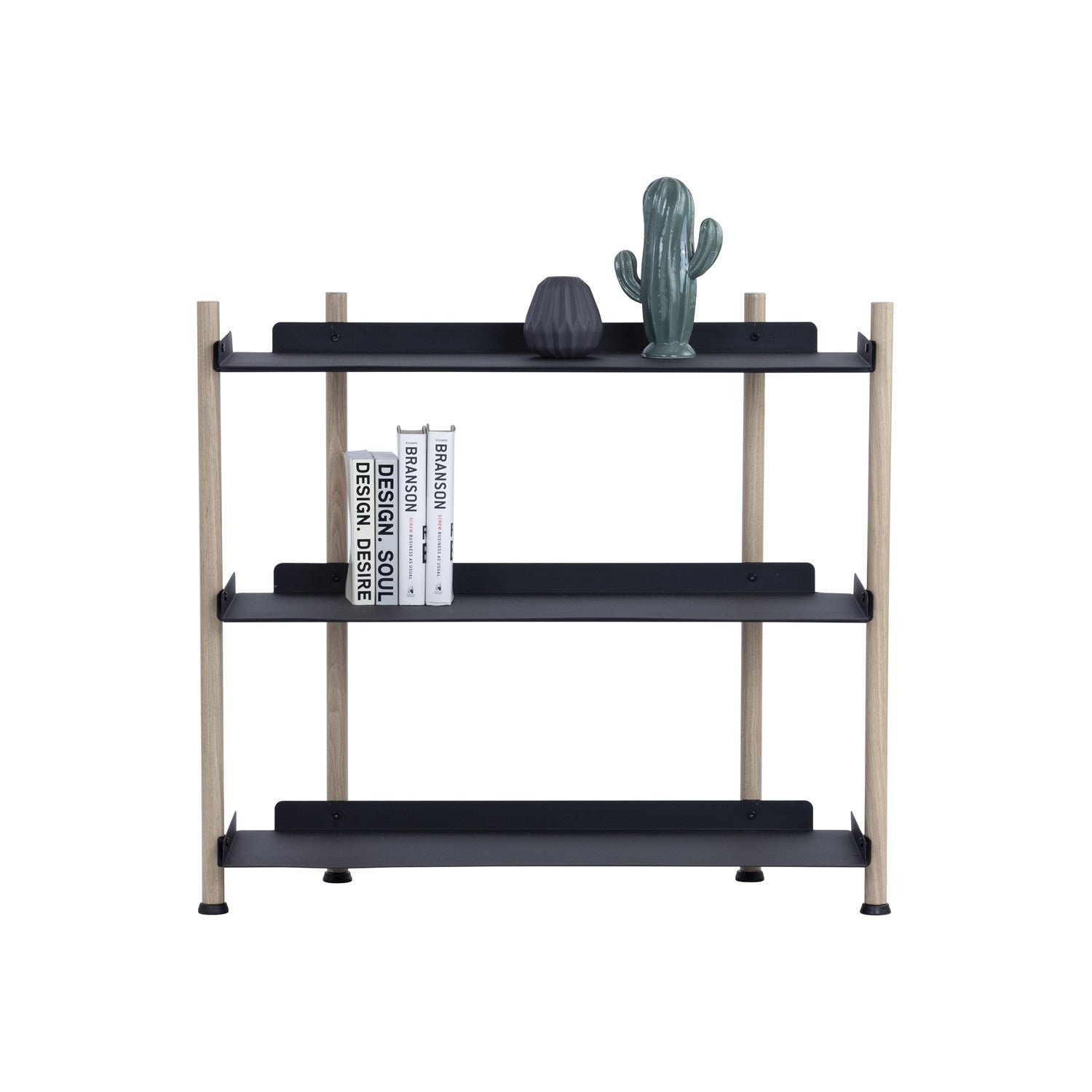 Black shelving unit with books and a cactus on a white background